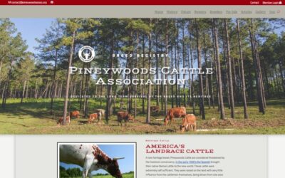Pineywoods Cattle Association