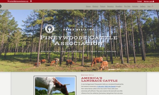 Pineywoods Cattle Association