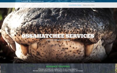 Ossahatchee Services