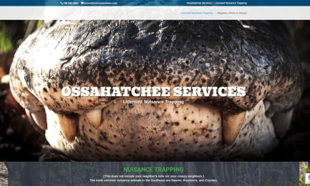 Ossahatchee Services