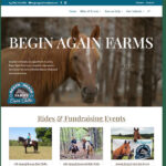 Begin Again Farms Equine Shelter