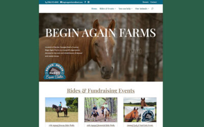 Begin Again Farms Equine Shelter