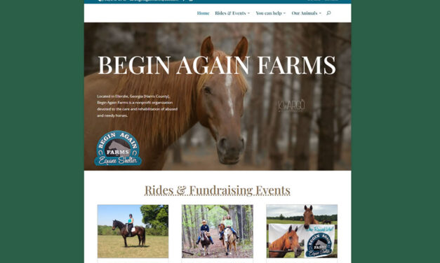 Begin Again Farms Equine Shelter